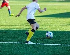 法国排球巨,星战胜新冠,后感慨满满,欧博官网,ABG欧博官网,欧博官网在线娱乐平台