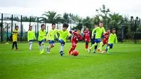 ABG欧博 产品 222547 pb7